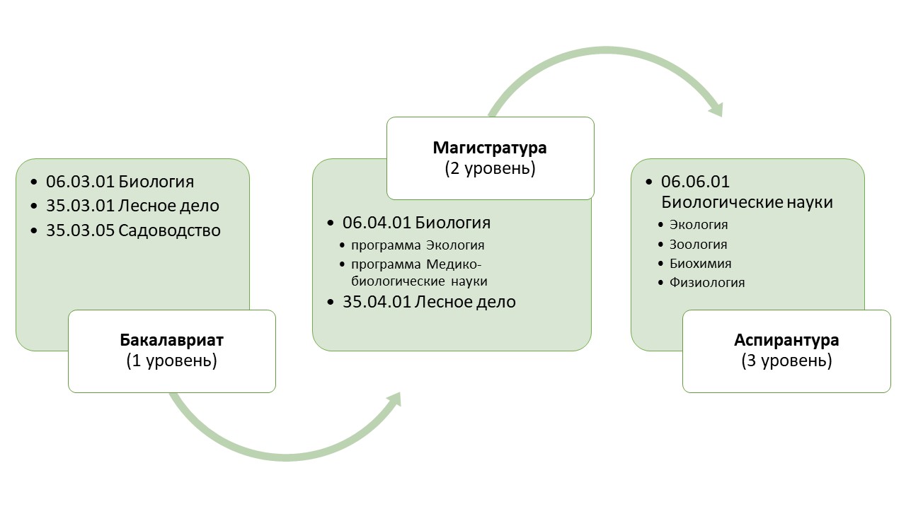 3 1 биология. Биологические программы. Магистратура экология. Аспирантура биологические науки. Медико-биологические науки магистратура.