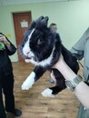 Фестиваль "День биолога – 2025" в кадрах