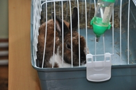 Фестиваль "День биолога – 2026" в кадрах