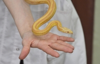 Фестиваль "День биолога – 2026" в кадрах