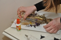 Фестиваль "День биолога – 2026" в кадрах