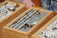 Фестиваль "День биолога – 2026" в кадрах