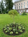 Учебно-экскурсионная практика  в Санкт-Петербург-2026