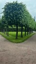 Учебно-экскурсионная практика  в Санкт-Петербург-2026
