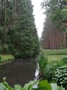 Учебно-экскурсионная практика  в Санкт-Петербург-2026