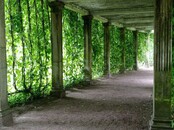 Учебно-экскурсионная практика  в Санкт-Петербург-2026