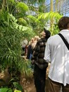 Учебно-экскурсионная практика  в Санкт-Петербург-2026