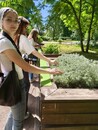 Учебно-экскурсионная практика  в Санкт-Петербург-2026